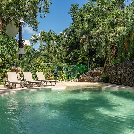 Spectacular Ph In Playacar - Private Rooftop, Pool By Yeah